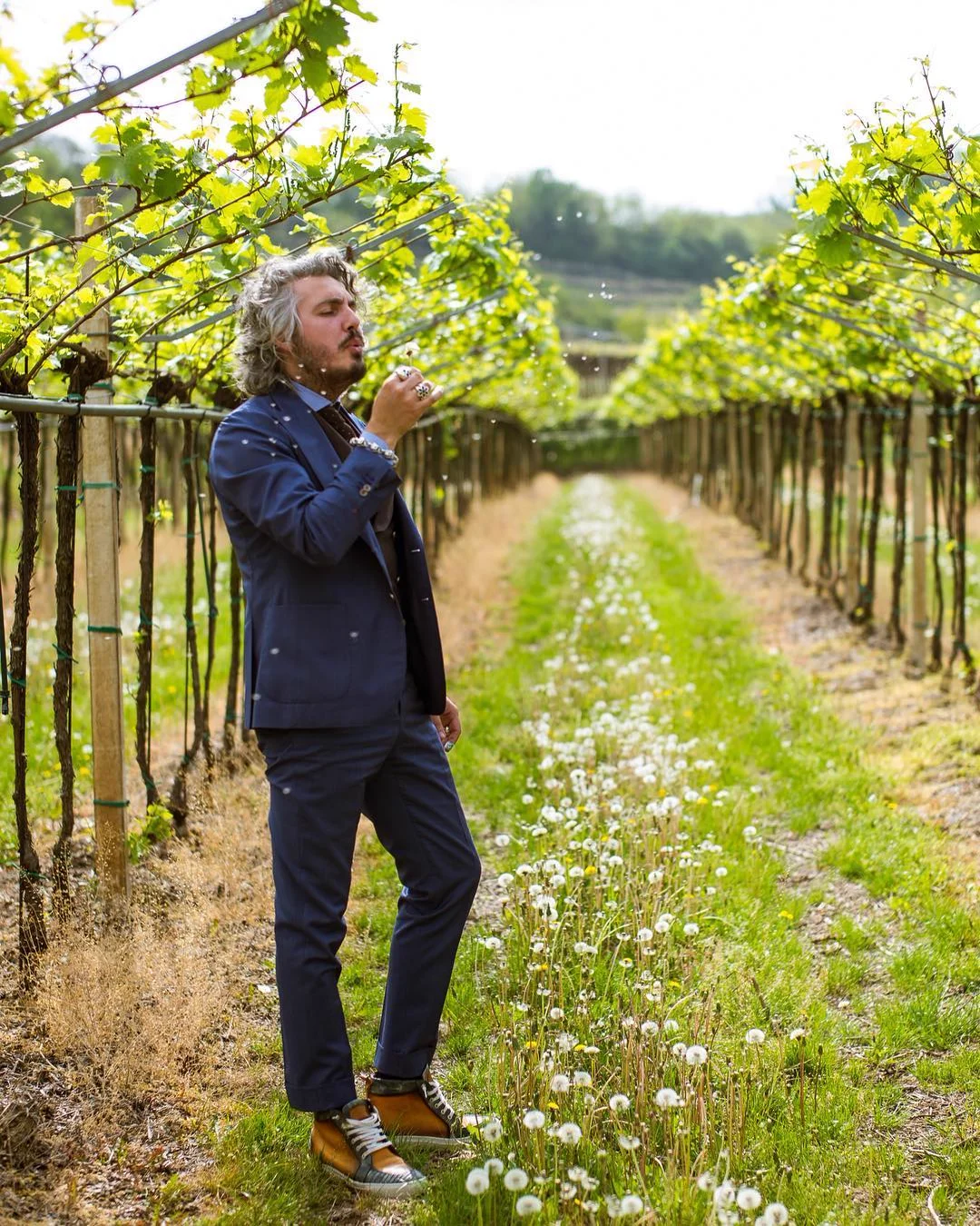 Matteo Perin among spring vineyard rows in a blue suit and waistcoat, blowing dandelion seeds